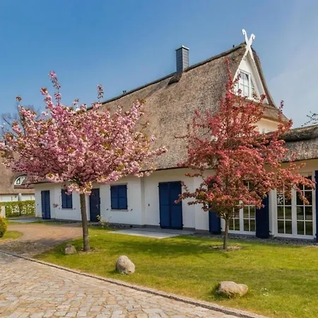 Luxurioese Klimaneutrale Strandvilla Mit Indoorpool